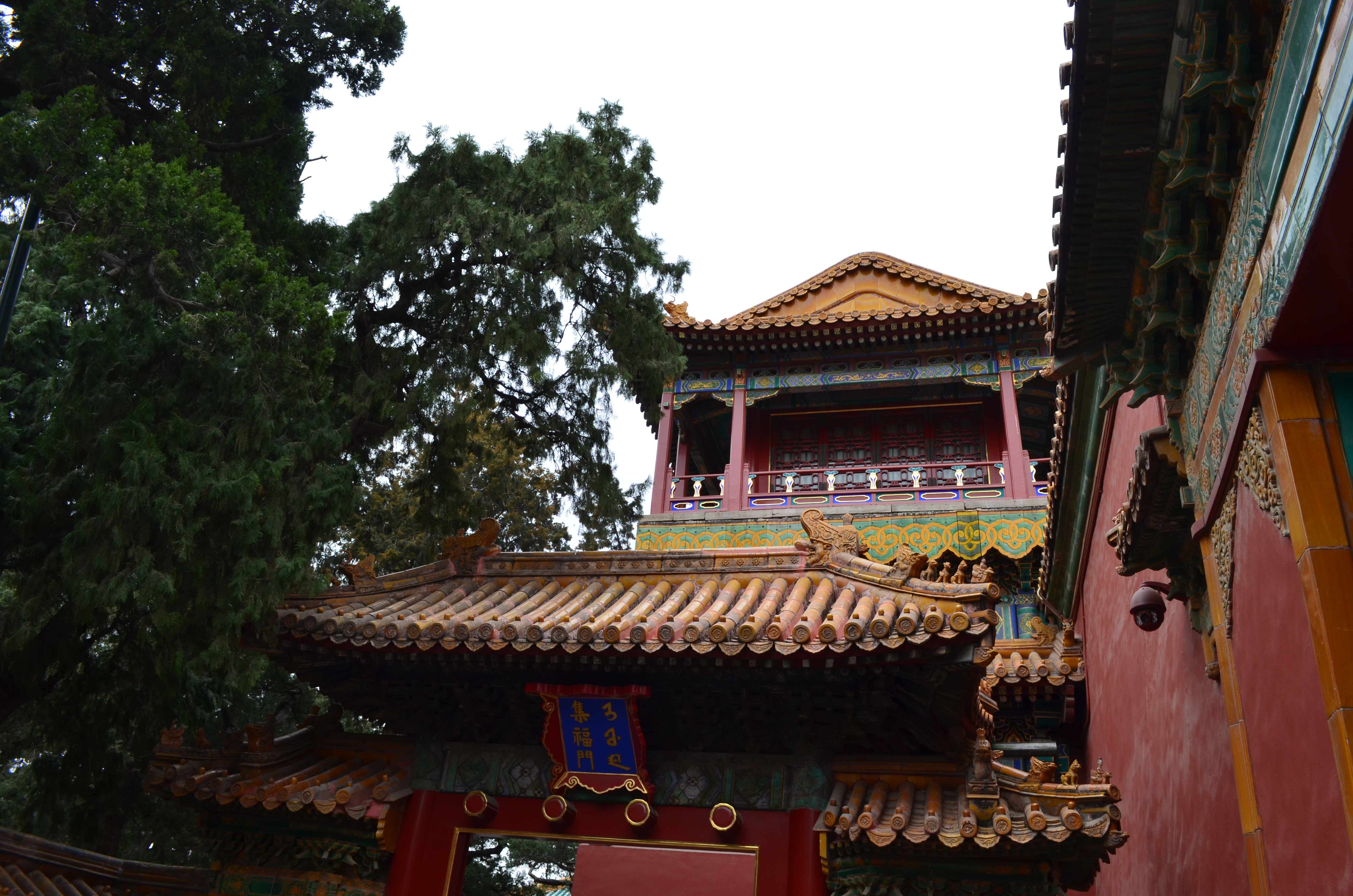 ./2018/03 - Viking China/06 - Forbidden City/DSC_10095.JPG